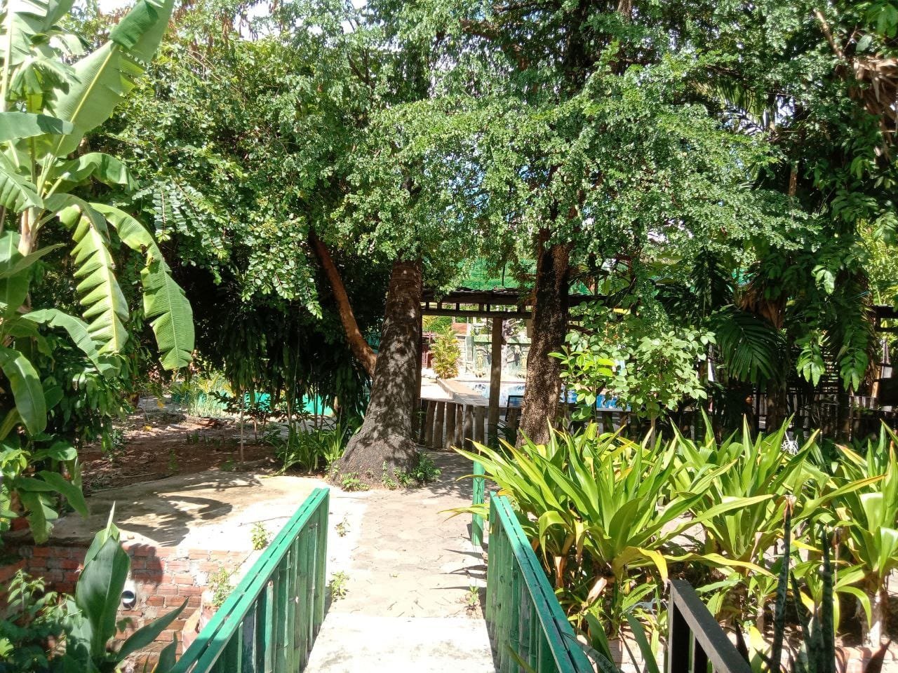 Joli-bungalow-à-louer-à-Sala-Kamreuk-04