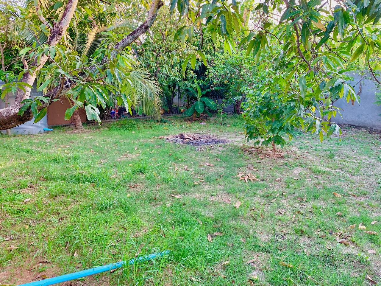 Maison 3 Chambres à Louer à Kampot